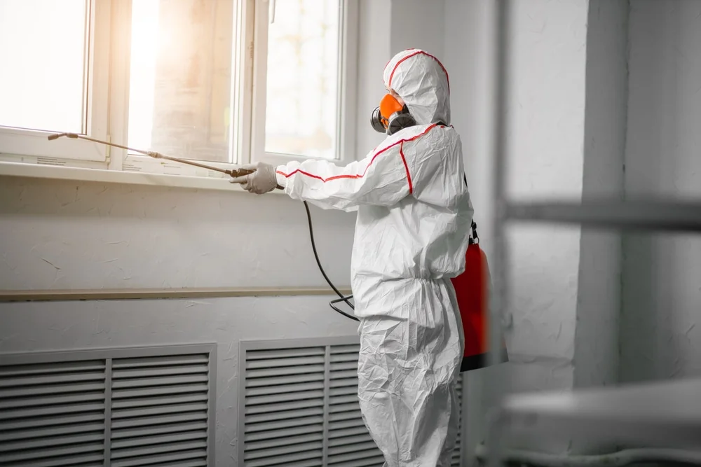 Professional mold remediation services in Steger, IL